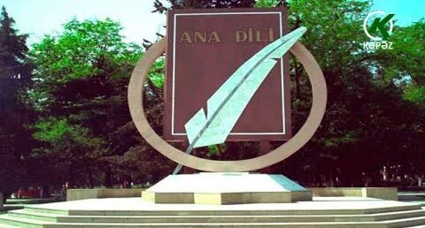 WhatsApp Image 2025-07-17 at 19.41.58